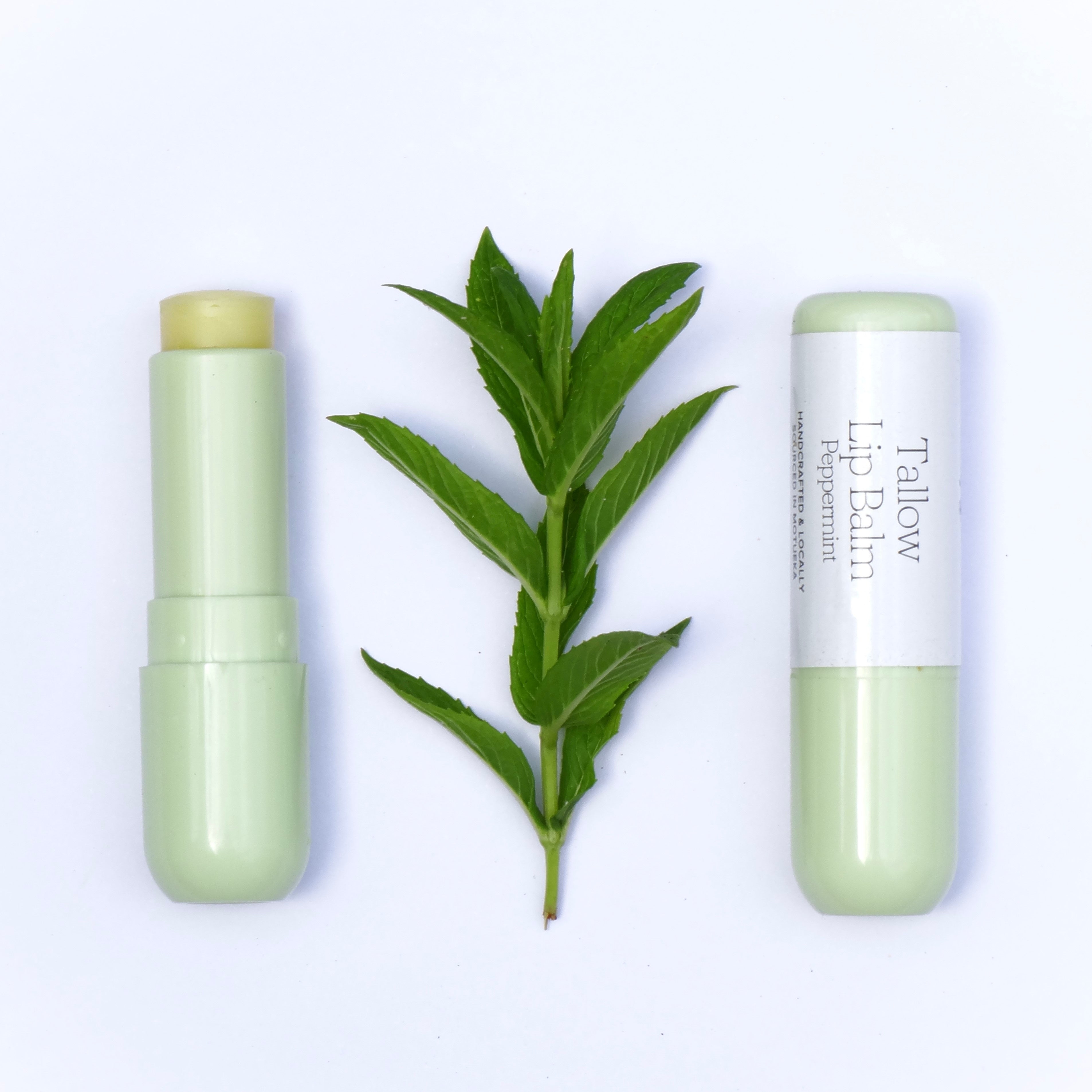 Tallow Lip Balm
